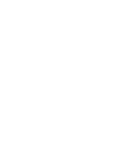 SDForm Logo